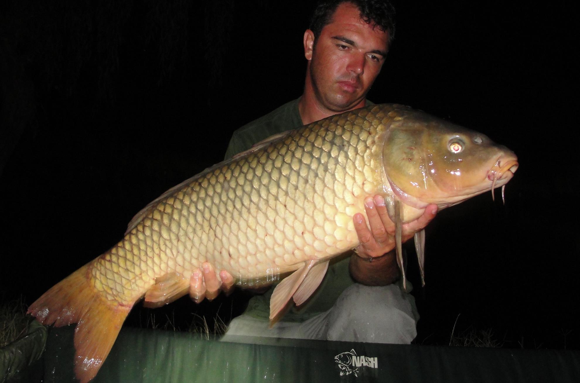 Moara Vlasiei 2 12 - 14 aug. - dsc01410.JPG